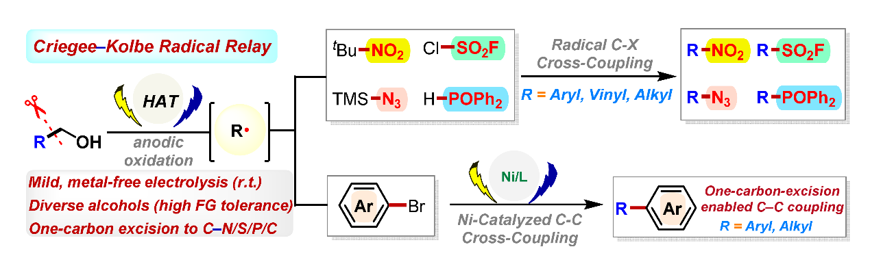 我校孔宪强教授团队在国际顶刊J...